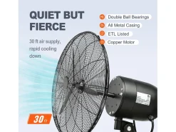 Ventilador de Nebulização, SucceBuy Ventilador de Nebulização Oscilante de 60,96 CM, 3 Velocidades, 115 W, Metal