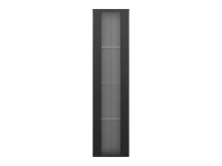 Vitrine 40×29×170 cm - iluminação LED multicolor com controle remoto - divisórias de vidro - preto