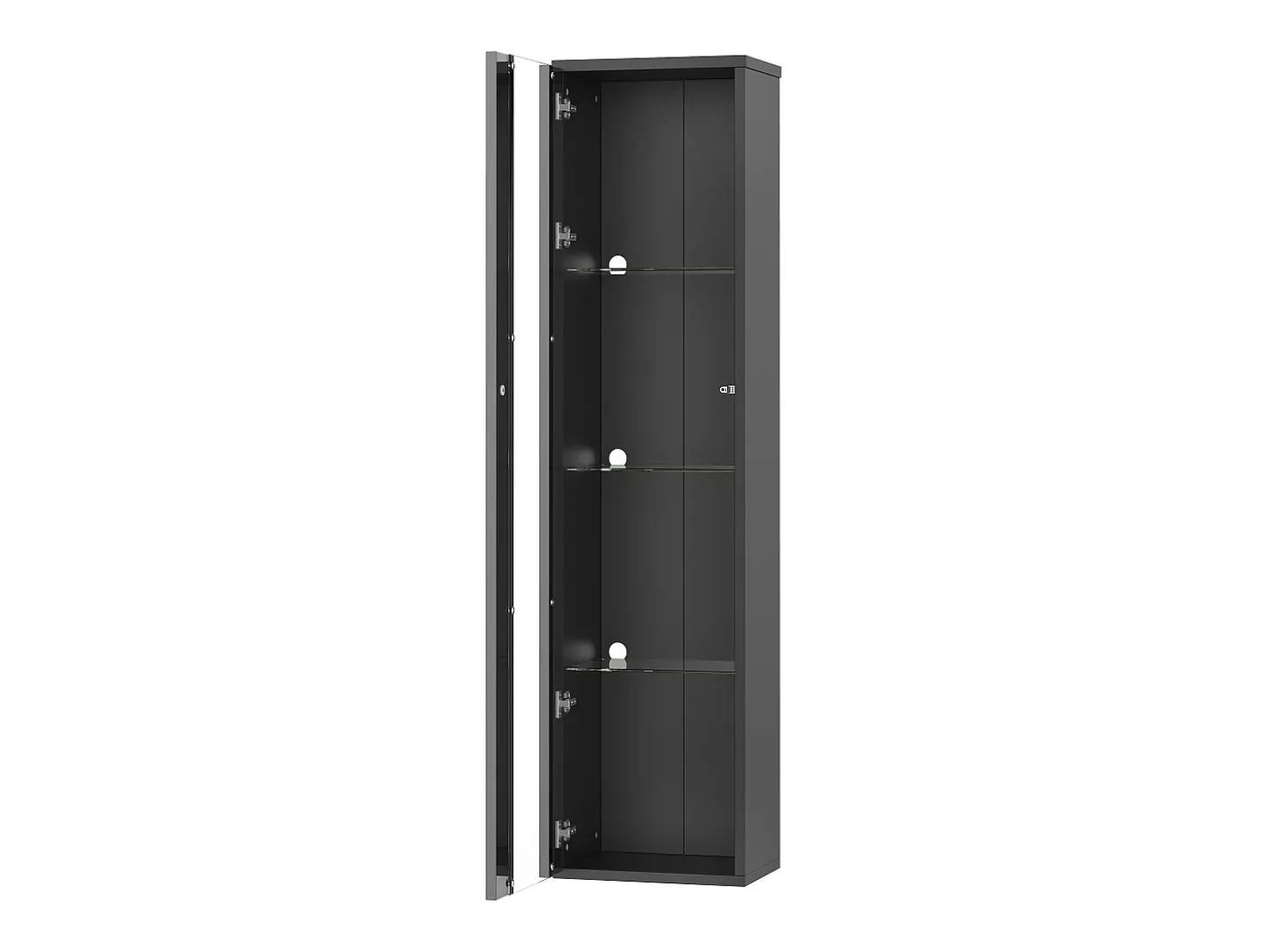 Vitrine 40×29×170 cm - iluminação LED multicolor com controle remoto - divisórias de vidro - preto