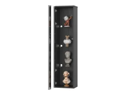 Vitrine multifuncional - 40 x 29 x 170 cm - com porta de vidro + LEDs - PB + Vidro - preto