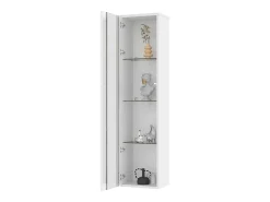 Vitrine multifuncional - 40 x 29 x 170 cm - com porta de vidro + LEDs - PB + Vidro - branco